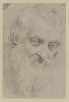 I 040
<br/>
Kop van oude man met baard, neerziend naar rechts
<br/>
<em>Domenichino (1581-1641)</em>